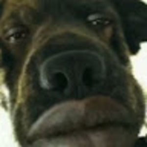 Meet your Posher, Adam